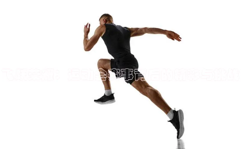 乐虎官方国际入口