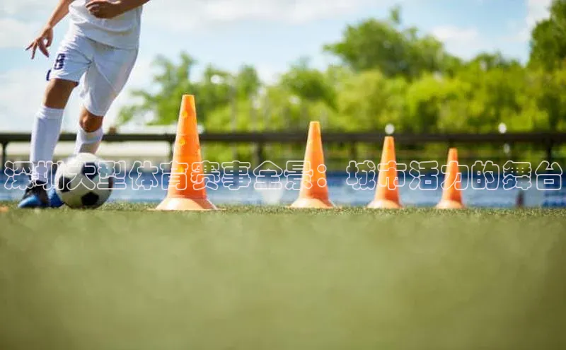 lehu66游戏官网入口