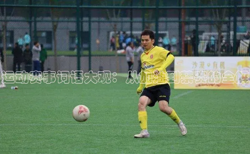 乐虎网页版登录入口