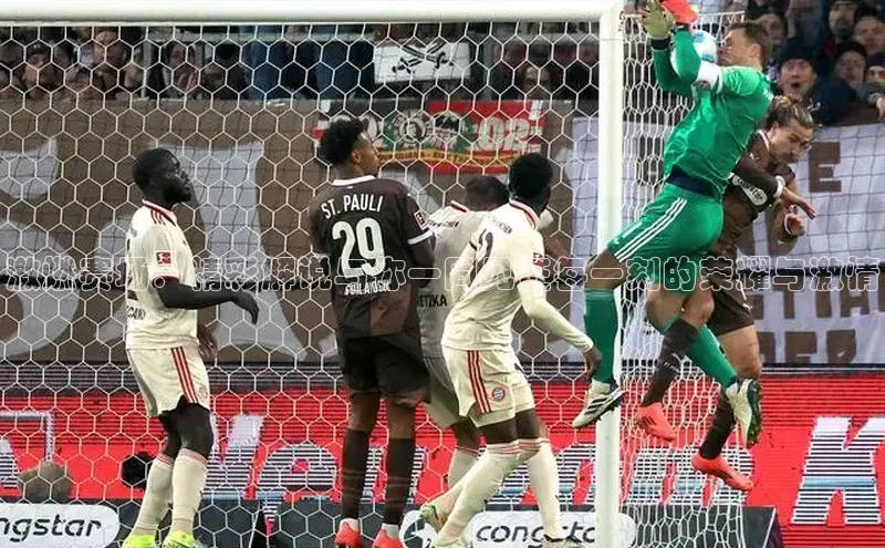 乐虎lehu08手机版