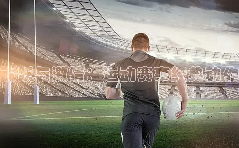 乐虎唯一官网入口